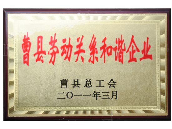 點擊查看詳細信息<br>標題：資質(zhì)榮譽 閱讀次數(shù)：3101